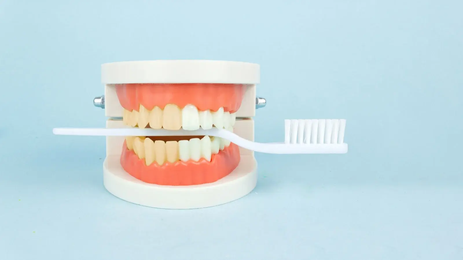 Dental Bonding Services in Oshawa - Groot Dental
